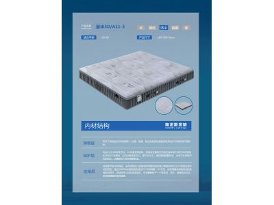 豪華3D A11-3